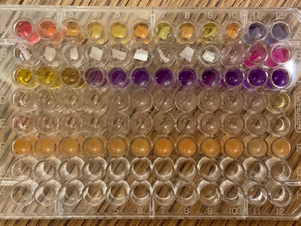 Investigating Fruit Peels as pH Indicators – Harry G. (’25)